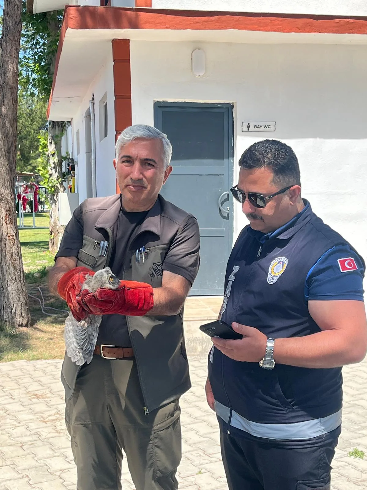 Battalgazi Zabıtası Bulduğu Yavru Baykuşu Koruma Altına Aldı