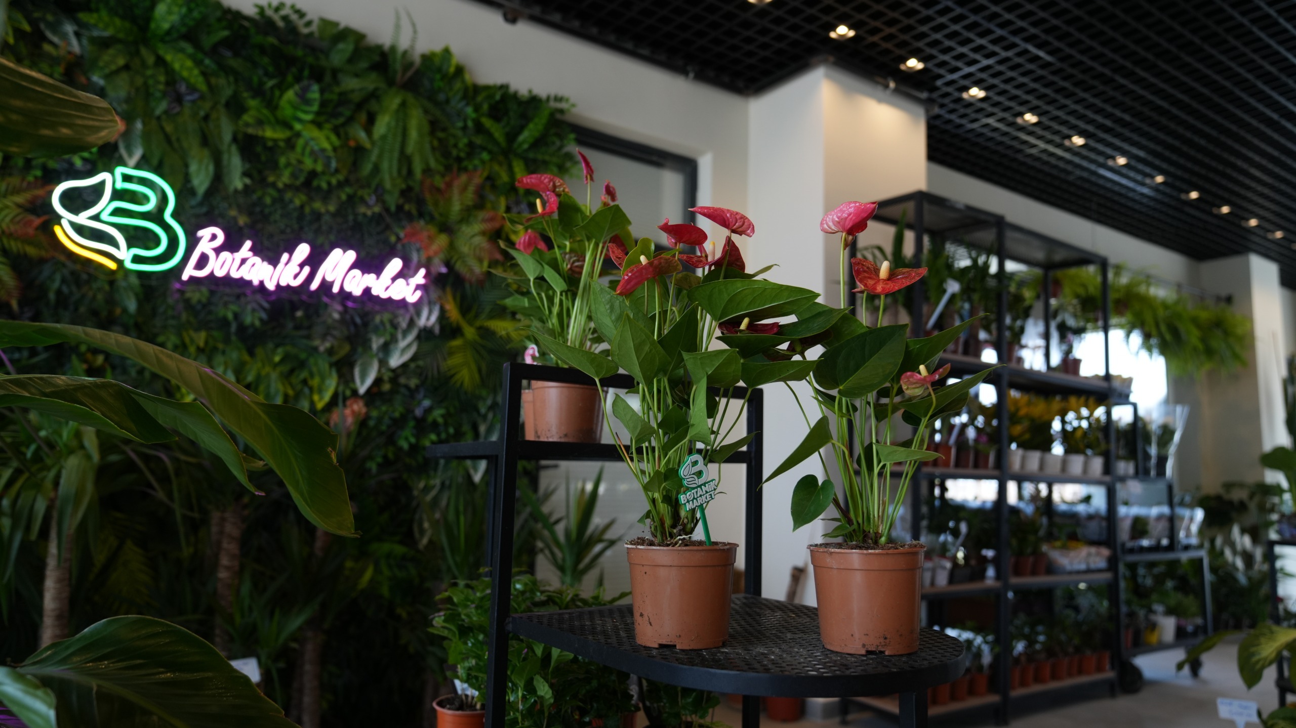 Battalgazi'de Yeşil Alanlarda Kapsamlı Çalışma