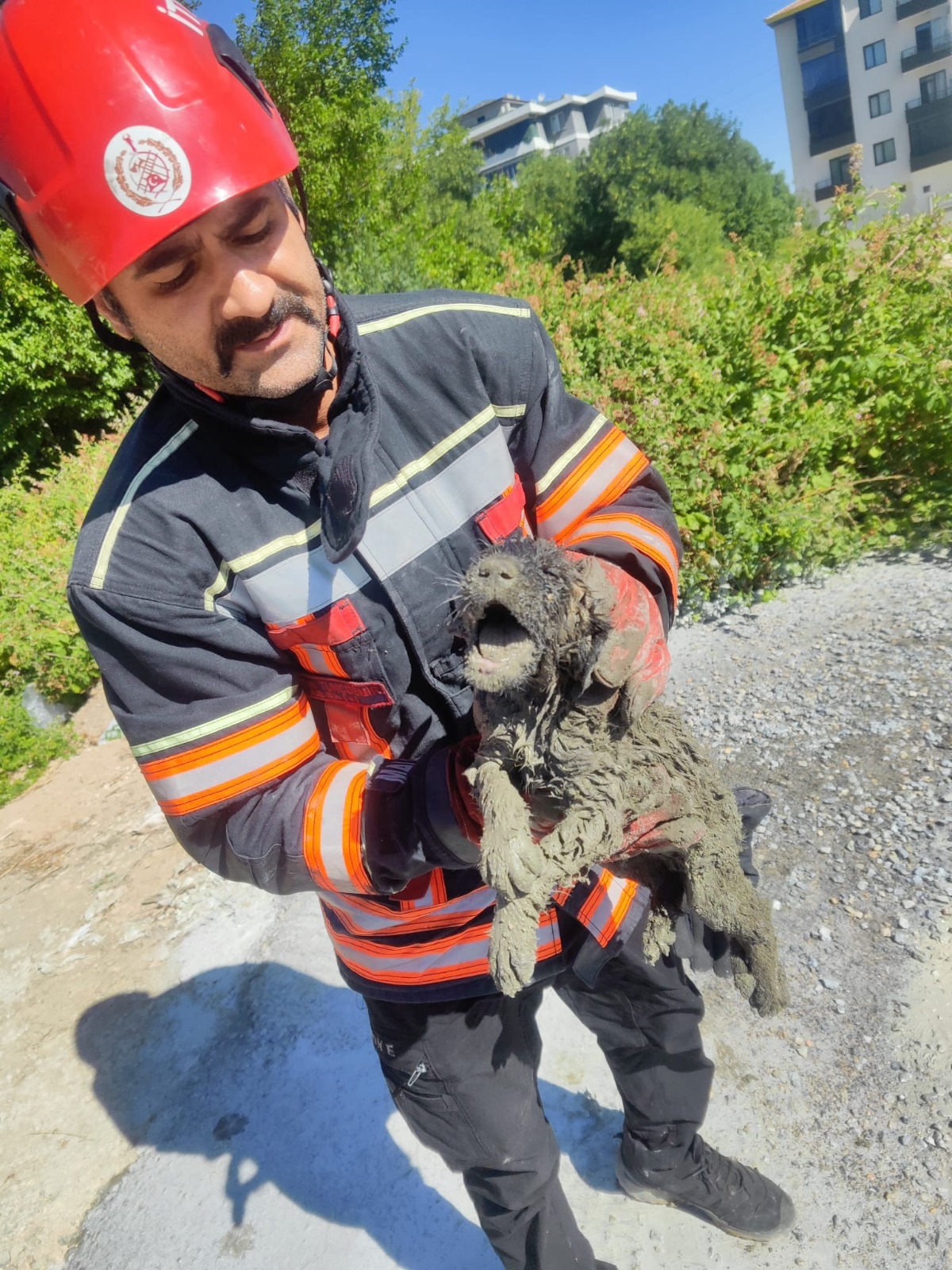 BÜYÜKŞEHİR İTFAİYESİ BETONDA MAHSUR KALAN KÖPEĞİ KURTARDI