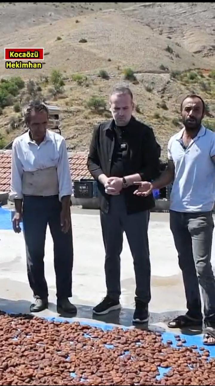 Hekimhan Kocaözü'nde Sel Felaketi