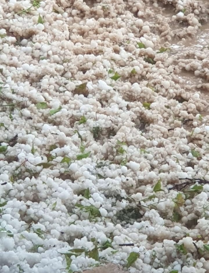 Malatya'da Gök Delindi! Sağanak Dolu Yağışı Çiftçiyi Can Evinden Vurdu
