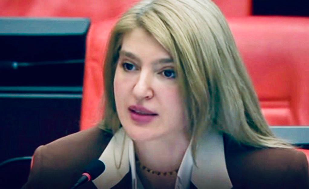 Malatya'nın Dolu Hasarı ve Sanayi Yatırımları TBMM Gündeminde