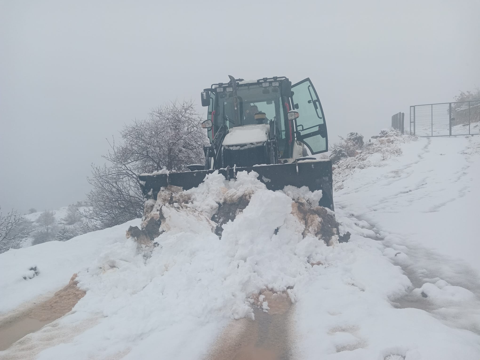 Pütürge'de Kar Fırtınası Etkisini Sürdürüyor: Belediye Ekipleri Sahada