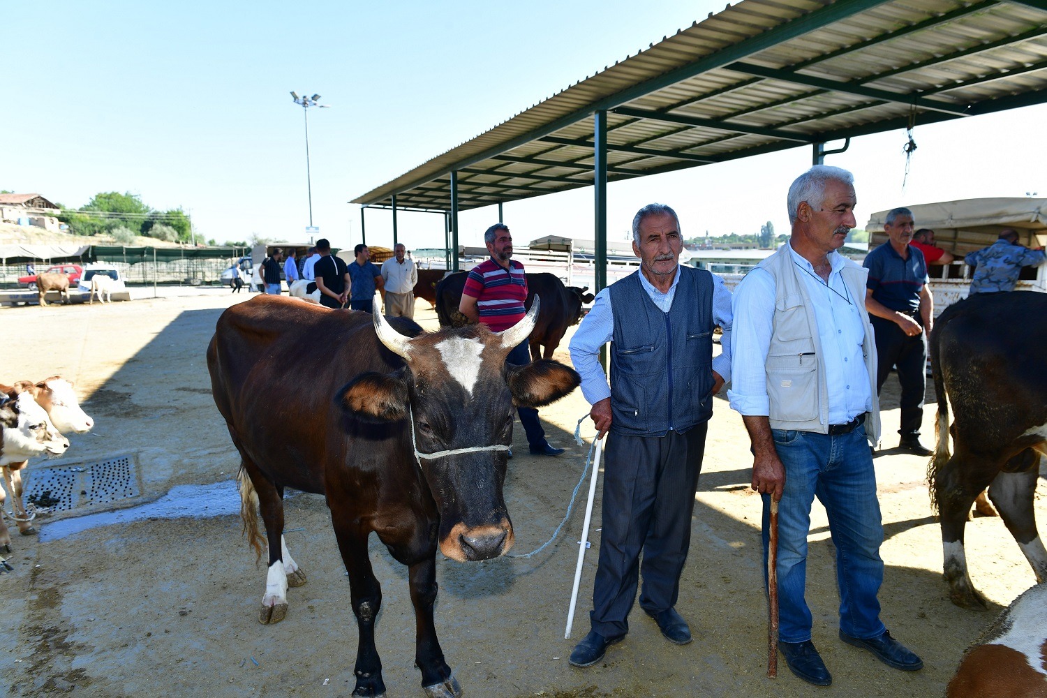 Yeşilyurt Belediyesi 41 Noktada Kurban Satış Ve Kesim Yeri Belirledi
