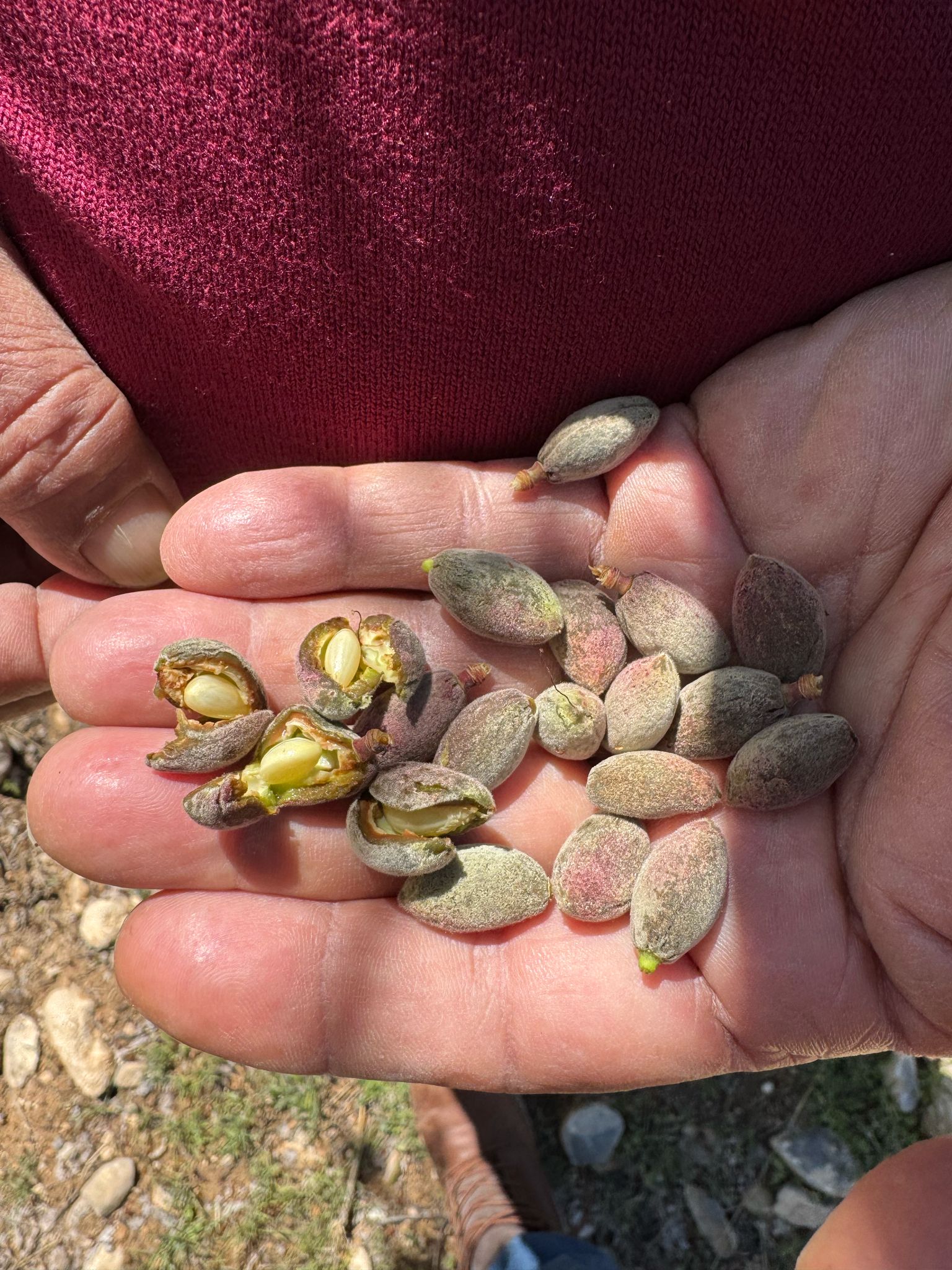 YILDIZ, "Malatya Derhal Afet Bölgesi İlan Edilmelidir"