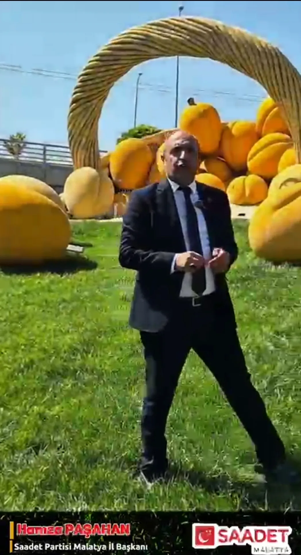 Paşahan:"Kayısıda Üretici Zarar Ediyor, Tüketici Yiyemiyor"