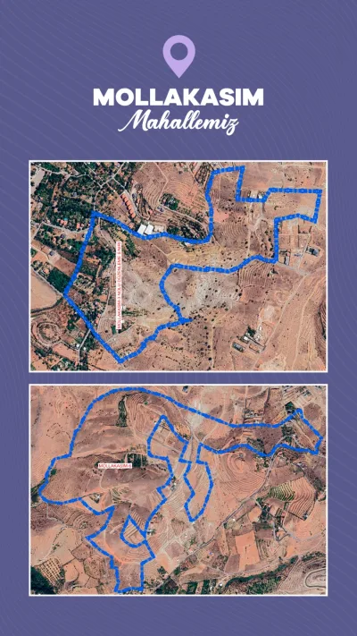 1000259258